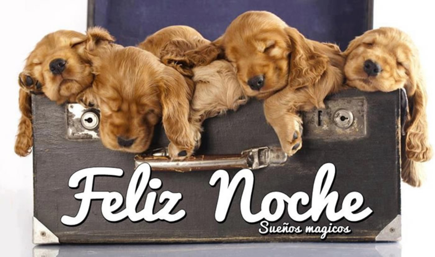 Feliz noche