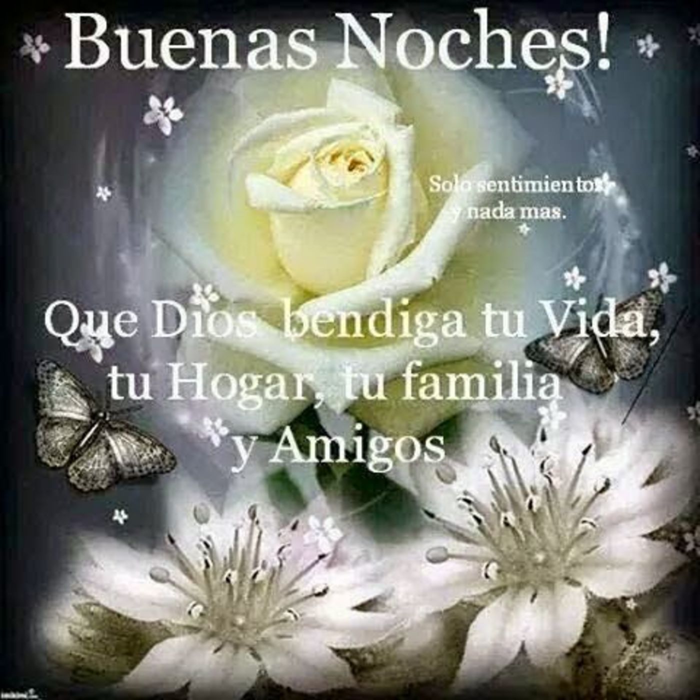 Buenas noches! Que Dios bendiga tu vida, tu hogar, tu familia y amigos