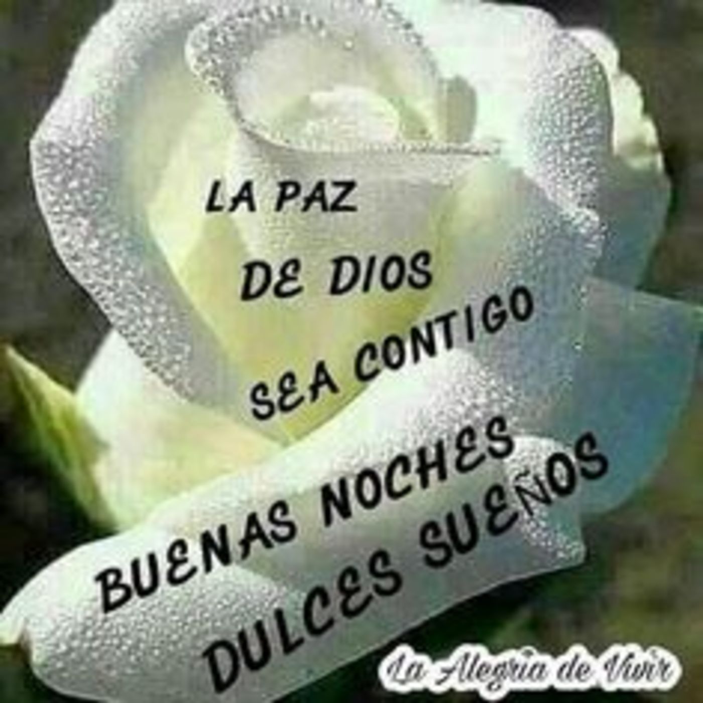 La paz de Dios sea contigo. Buenas Noches. Dulces sueños