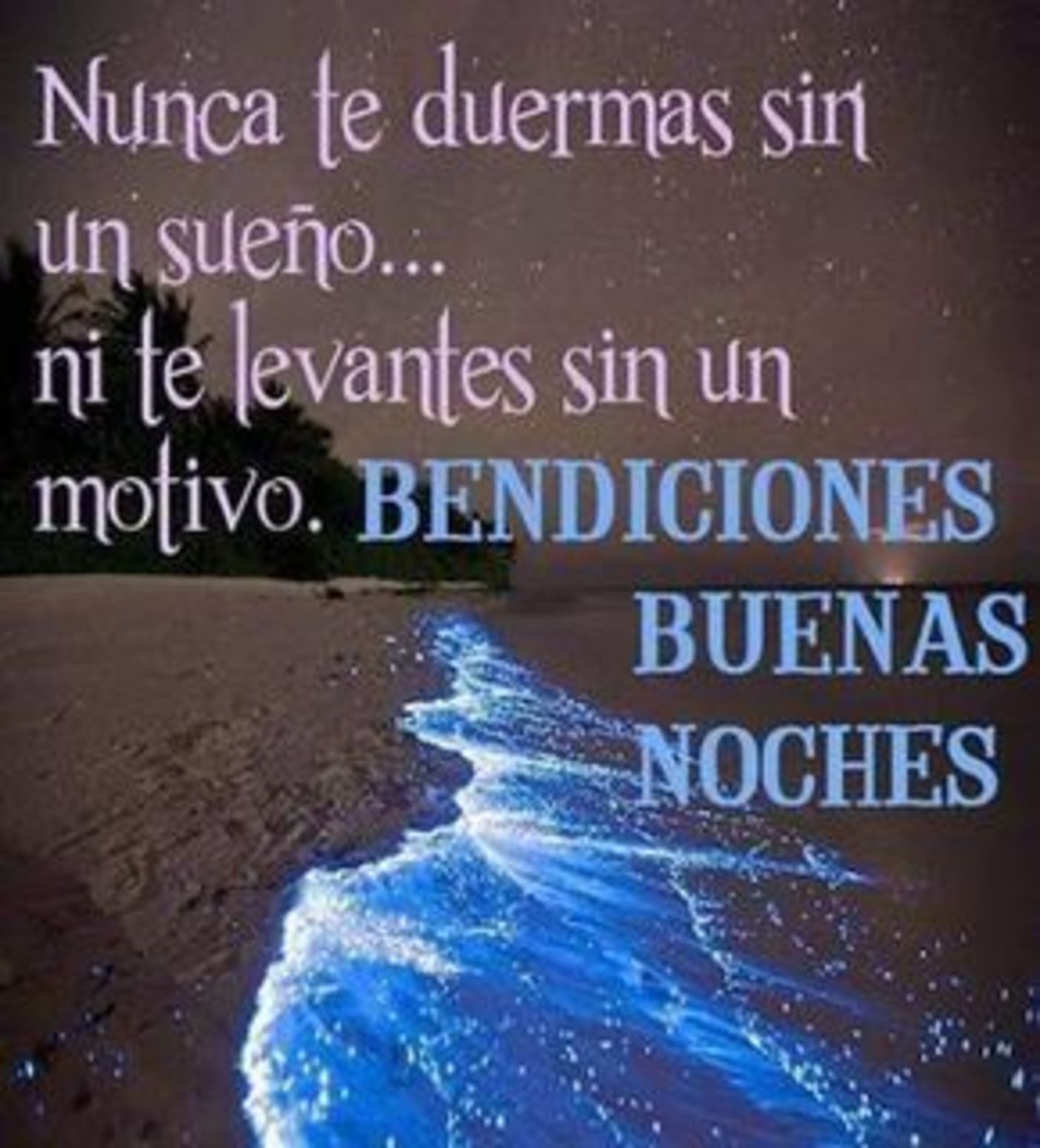 Nunca te duermas sin un sueño...ni te levantes sin un motivo. Bendiciones buenas noches