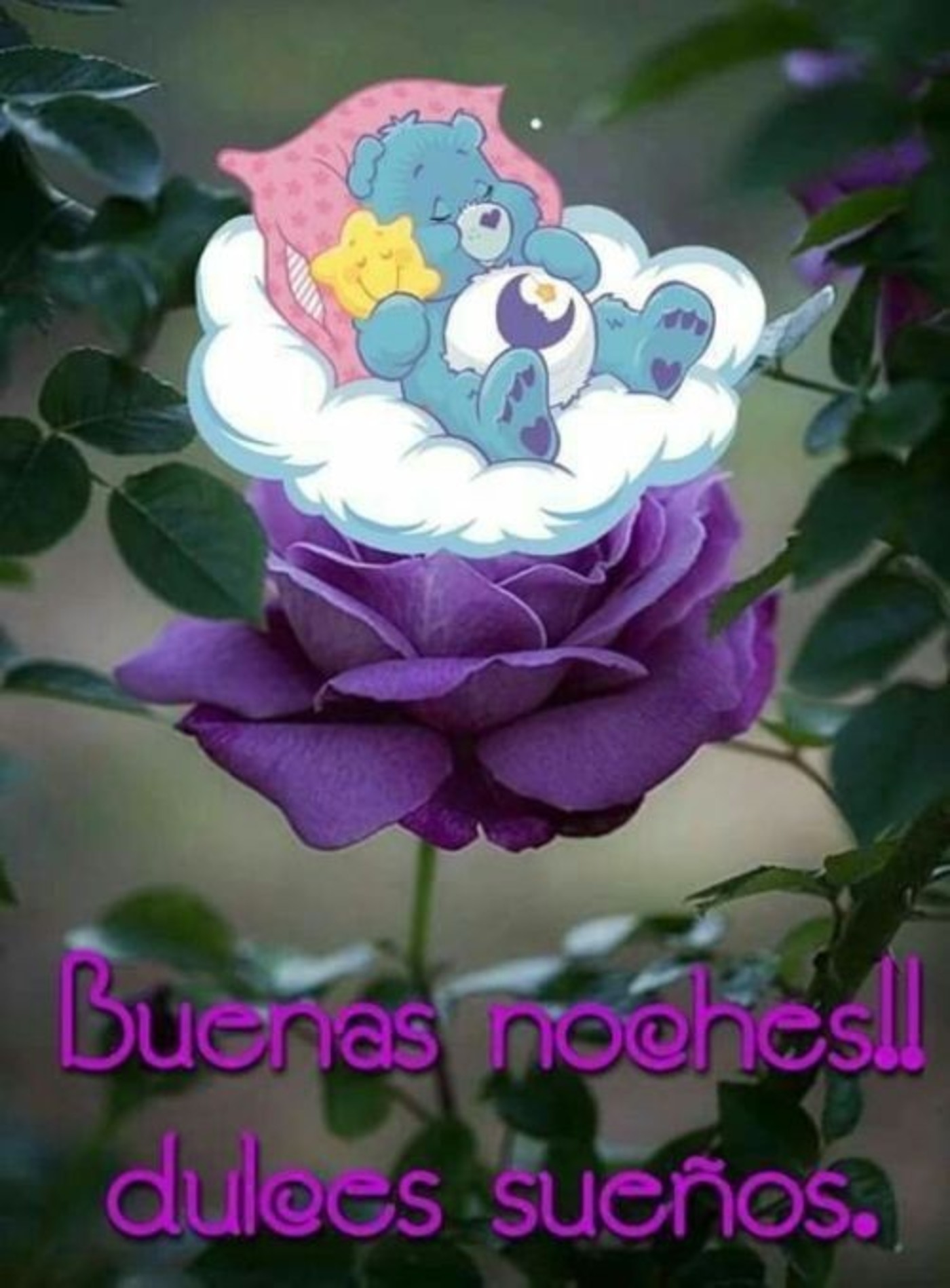 Buenas noches! Dulces Sueños