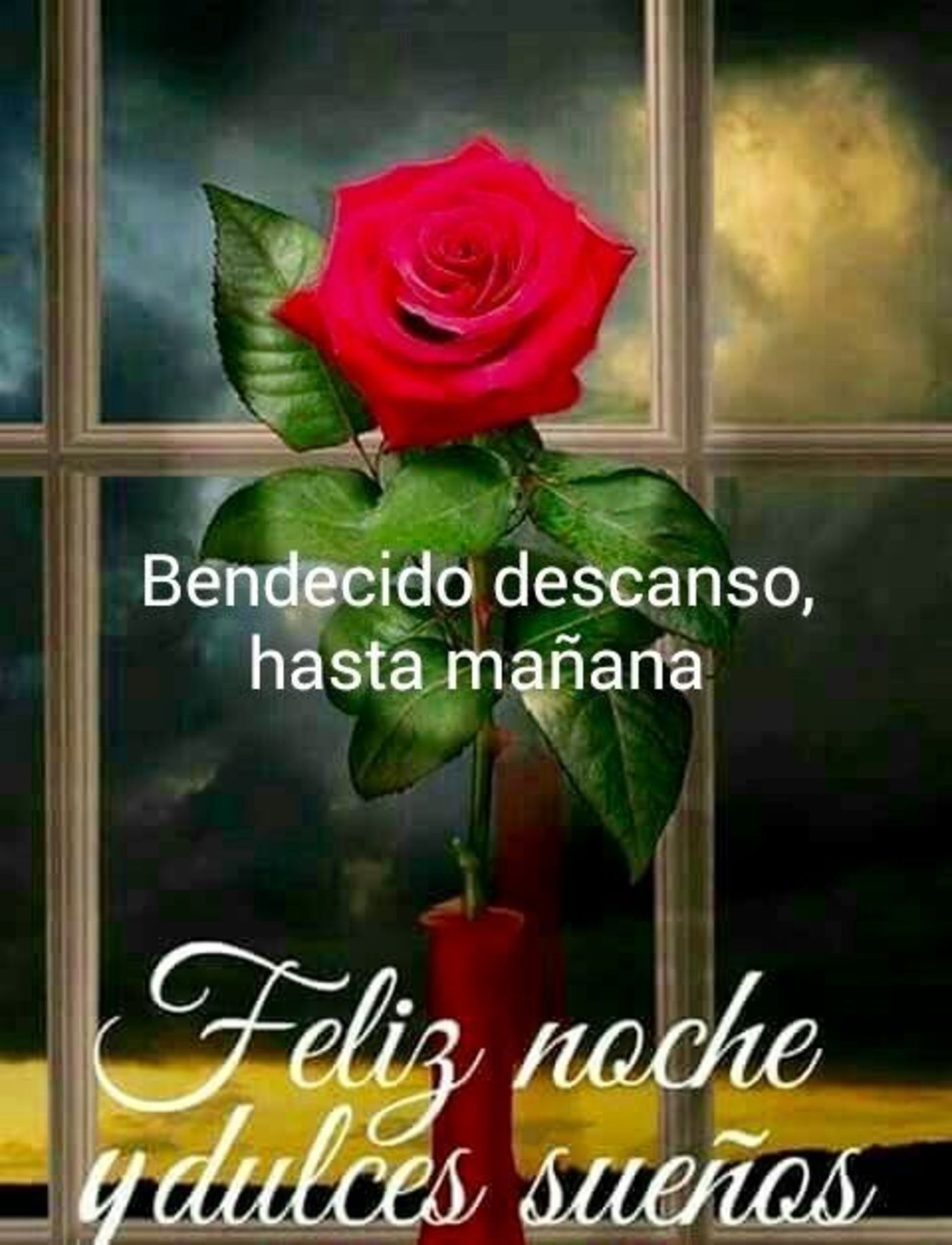 Bendecido descanso, hasta mañana. Feliz noche y dulces sueños