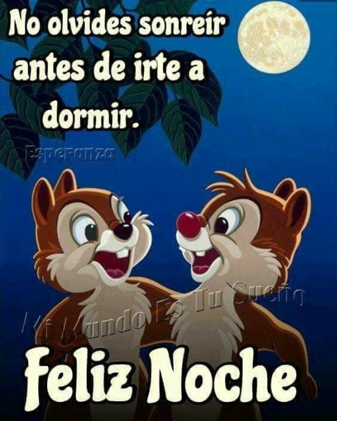 No olvides sonreír antes de irte a dormir. Feliz noches