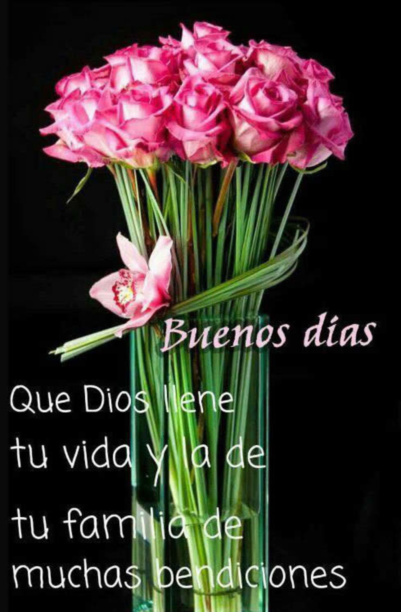 Buenos días! Que Dios llene tu vida y la de tu familia de muchas bendiciones