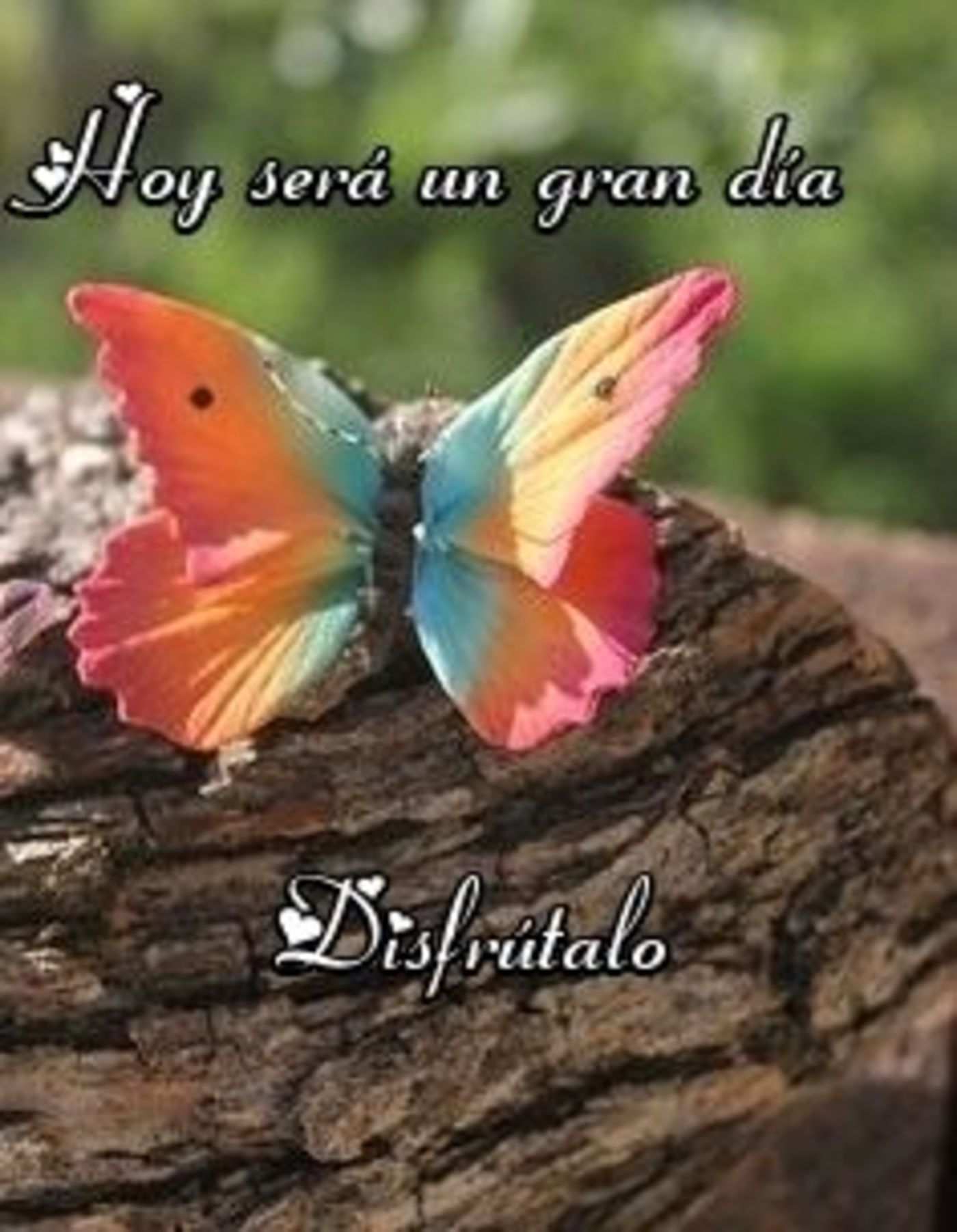 Hoy será un gran día. Disfrutalo