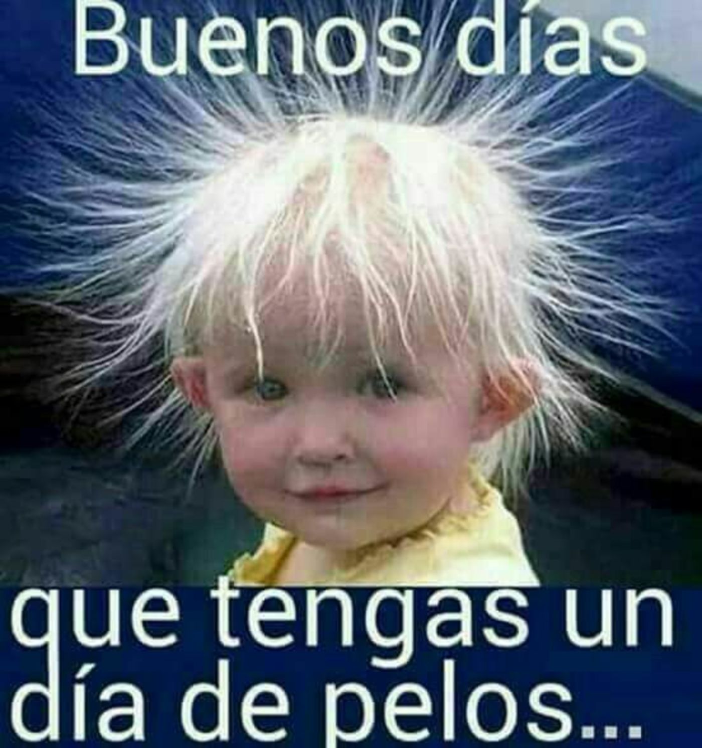 Buenos días que tengas un día de pelos...