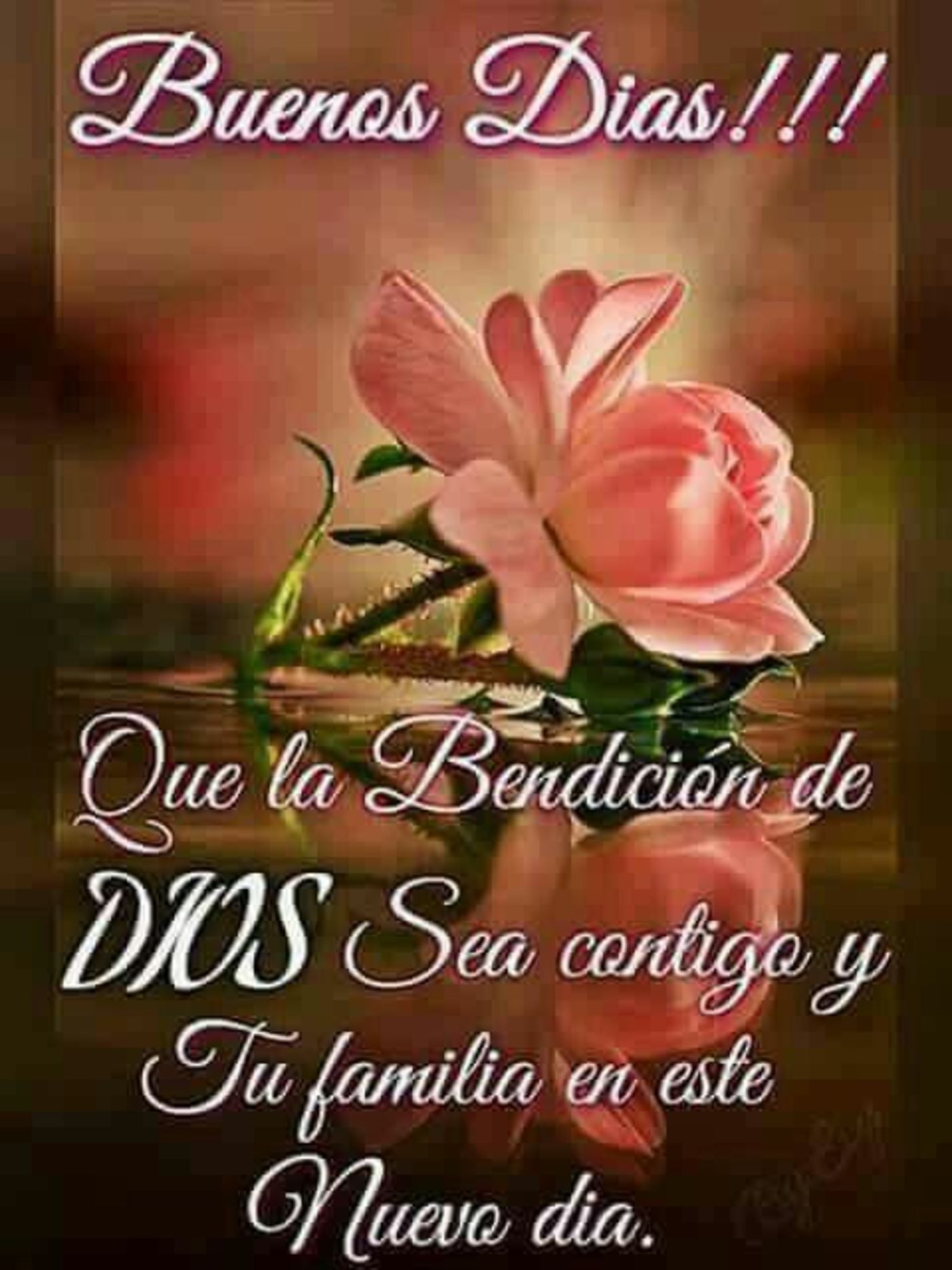 Que la bendición de Dios sea contigo y tu familia en este nuevo día