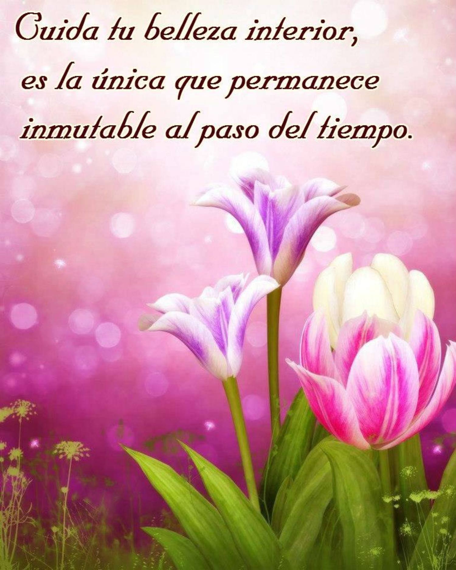 Frases Y Citas Hermosas Para Compartir