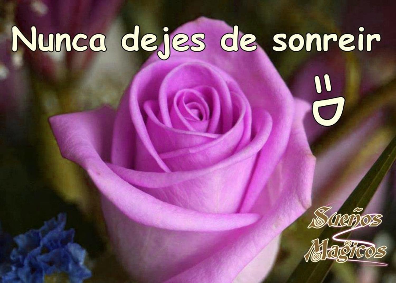 Nunca dejes de sonreir