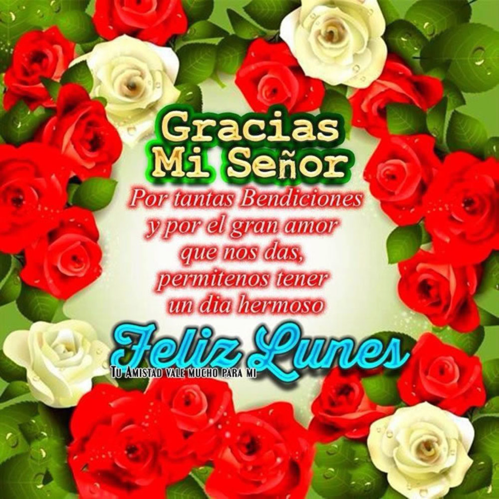 Gracias mi Señor por tantas bendiciones y por el gran amor que nos das, permitenos tener un dia hermoso. Feliz lunes