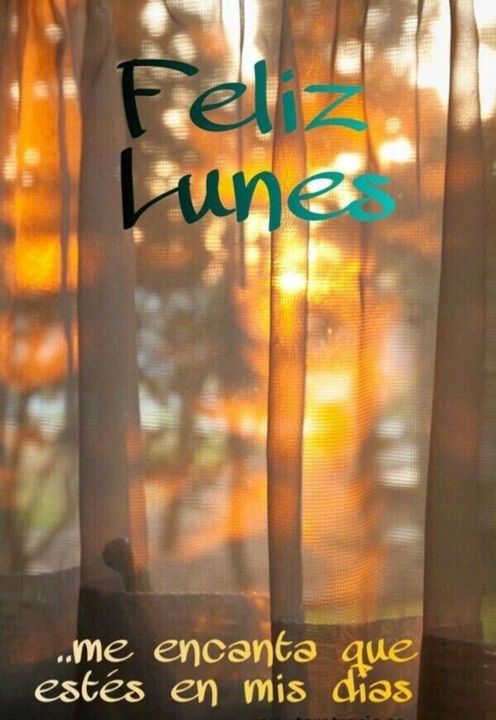 Feliz lunes...me encanta que estes en mis dias