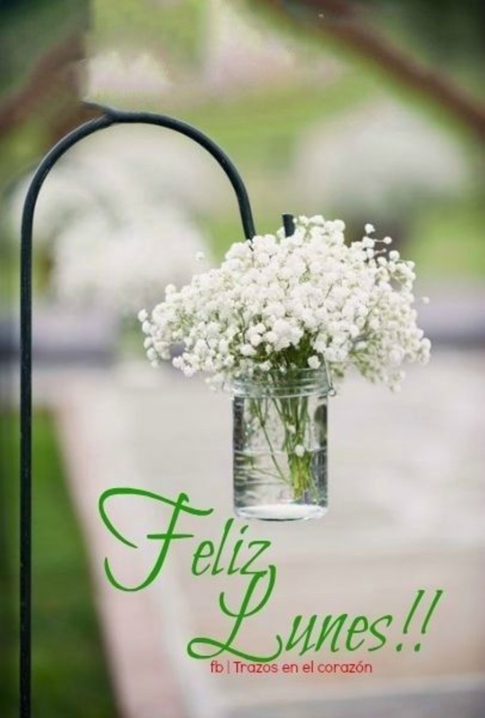 Imagenes feliz lunes