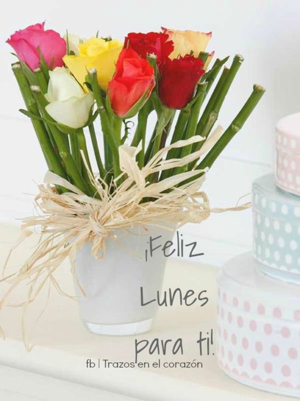 Feliz Lunes para ti