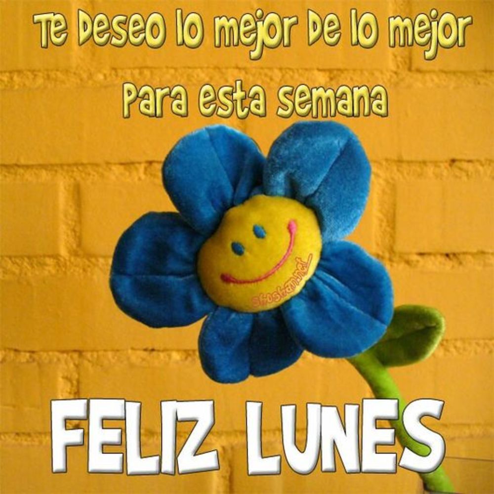 Te deseo lo mejor de lo mejor para esta semana. Feliz Lunes