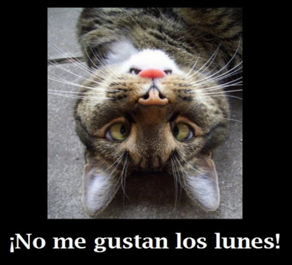 No me gustan los lunes!