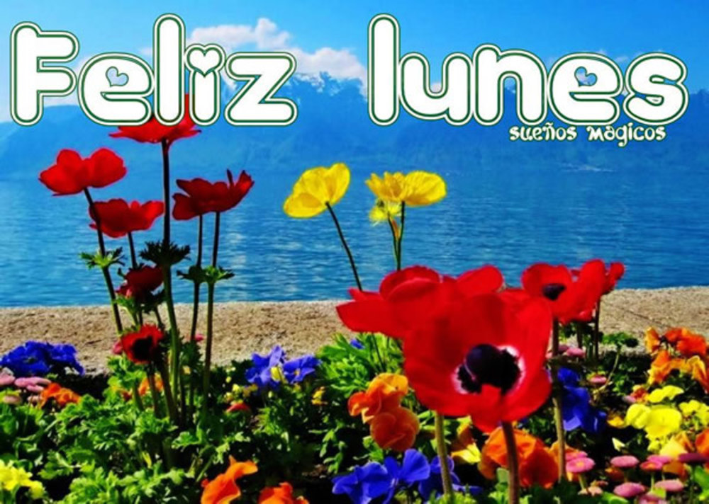 Feliz lunes