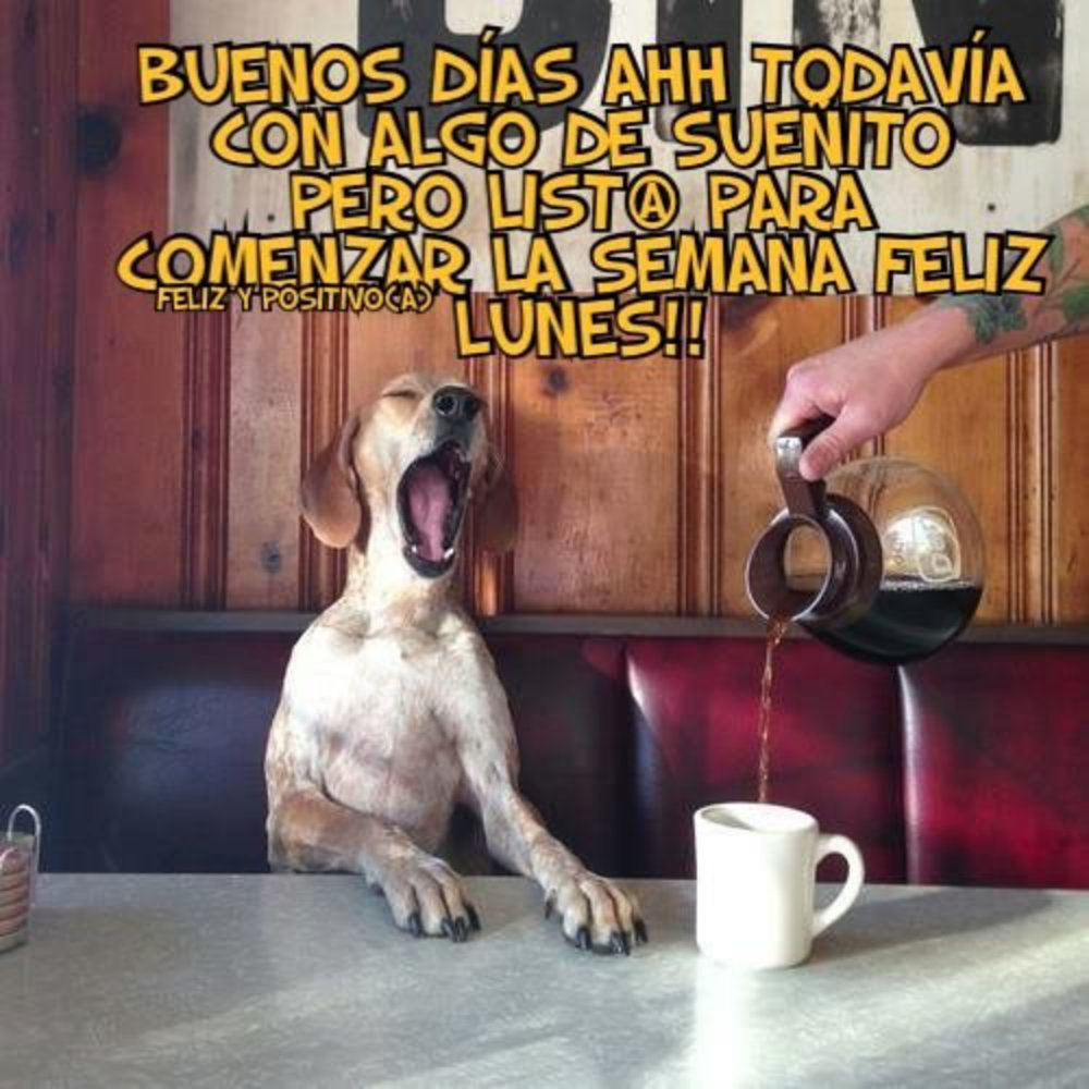 buenos días ahh todavia con algo de suenito pero lista para comenzar la semana feliz lunes!