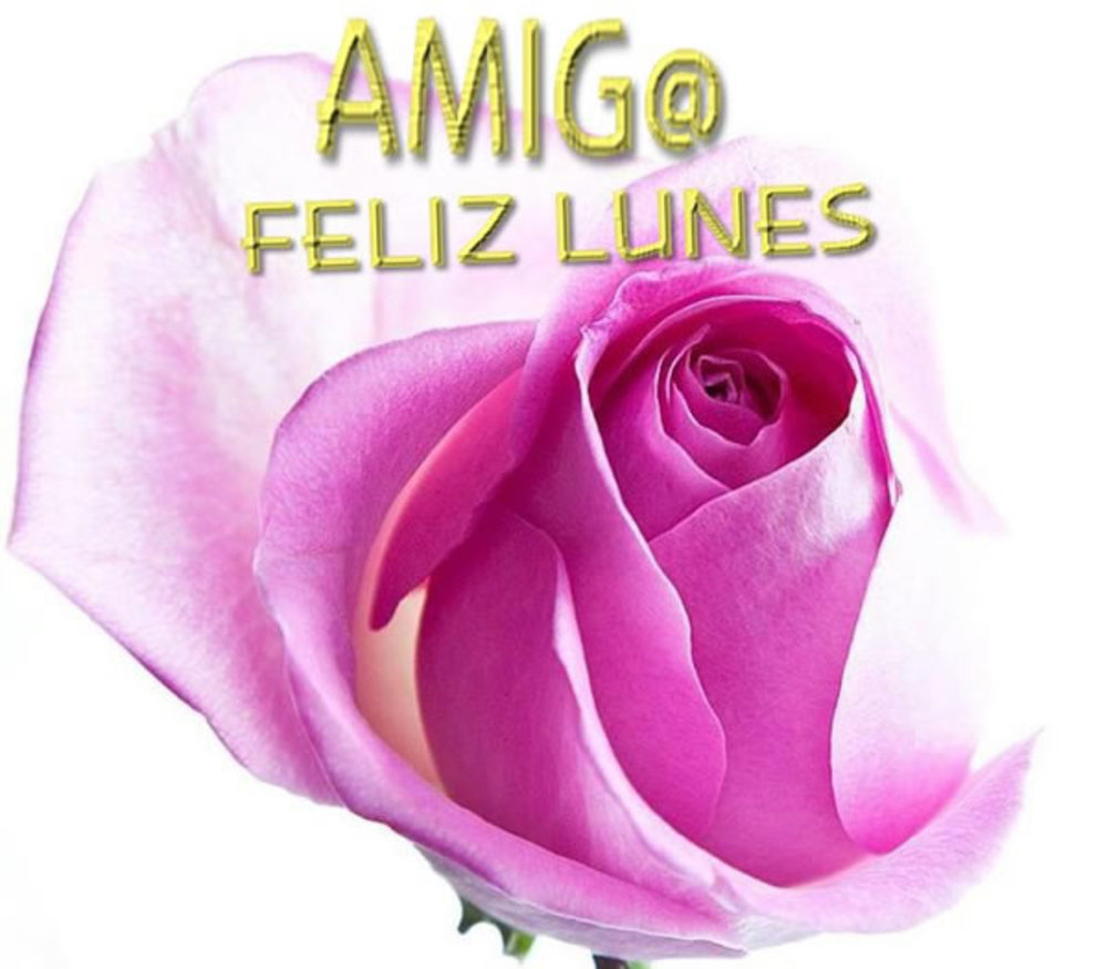 Amiga feliz lunes