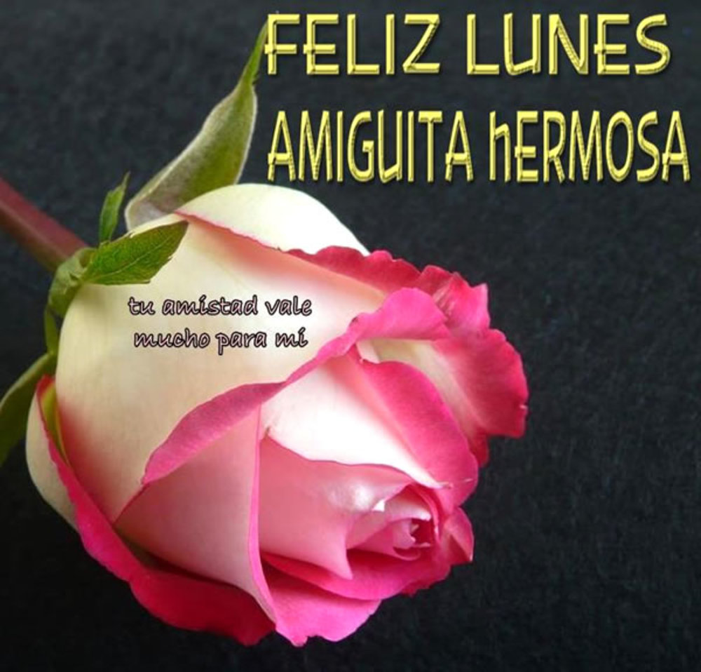 Feliz lunes amiguita hermosa