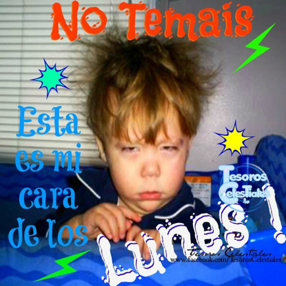 No temáis esta es mi cara de los lunes!!