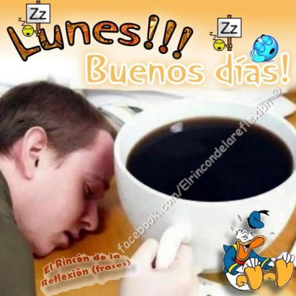 Lunes!!! Buenos dias