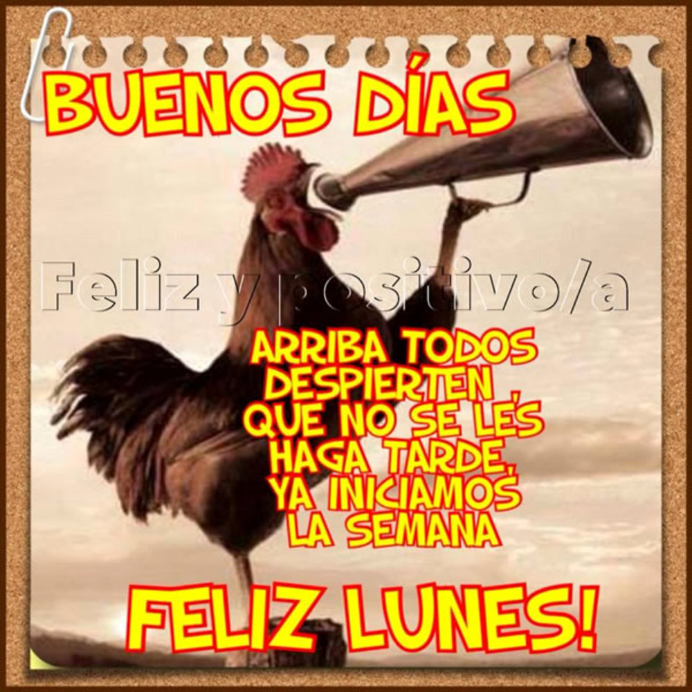 Buenos días arriba todos despierten, que no les haga tarde, ya iniciamos la semana. Feliz lunes