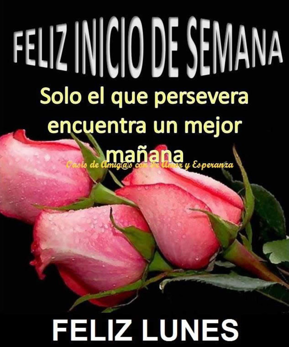 Feliz inicio de semana solo el que persevera encuentra un mejor manana. Feliz lunes