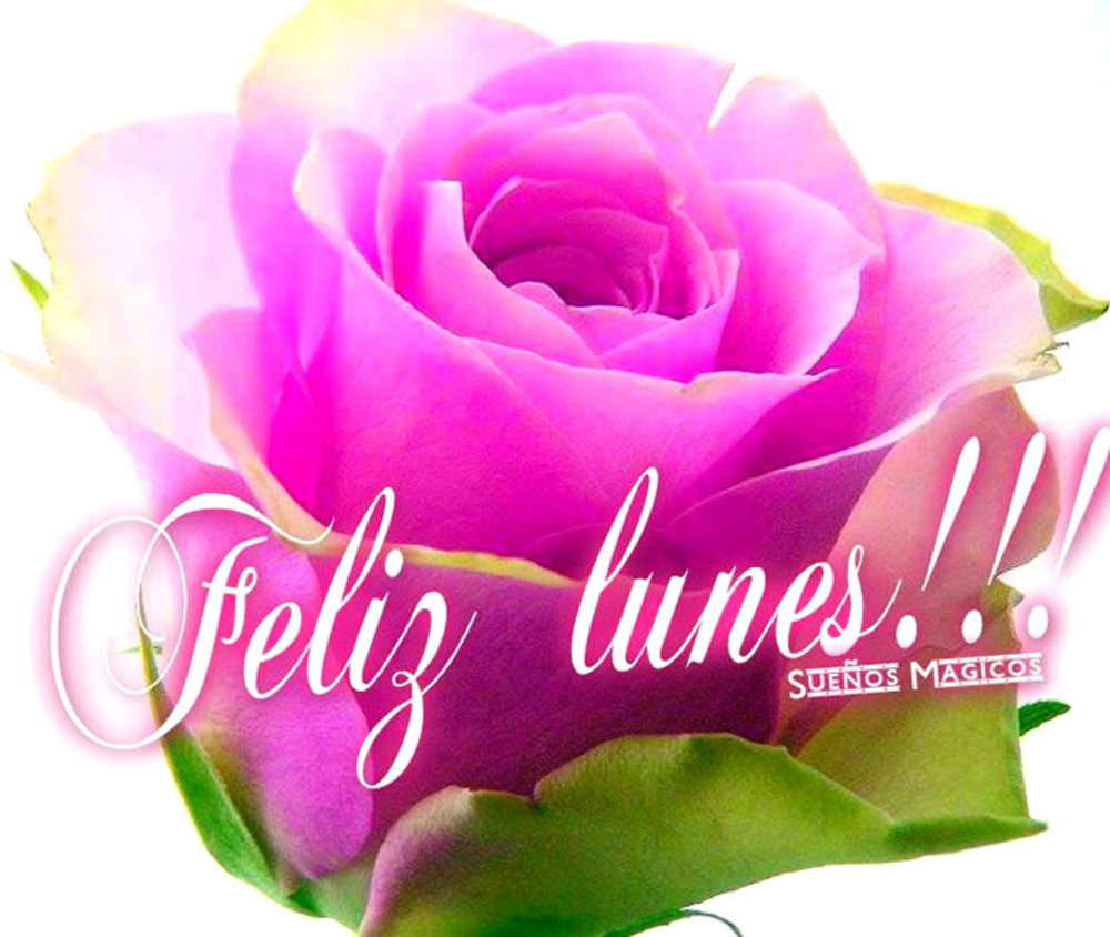 Feliz lunes