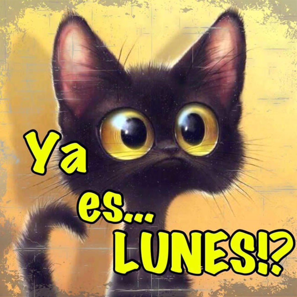 Ya es lunes!?