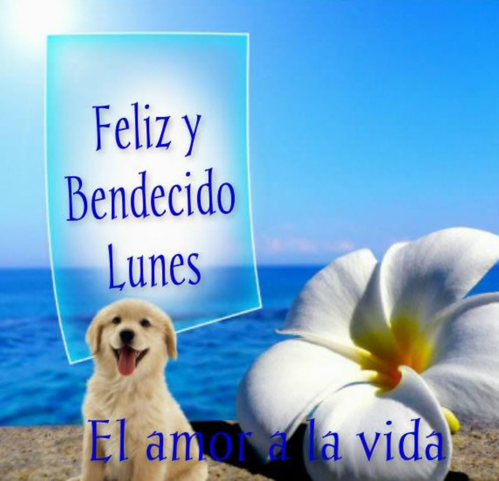 Feliz y bendecido lunes 