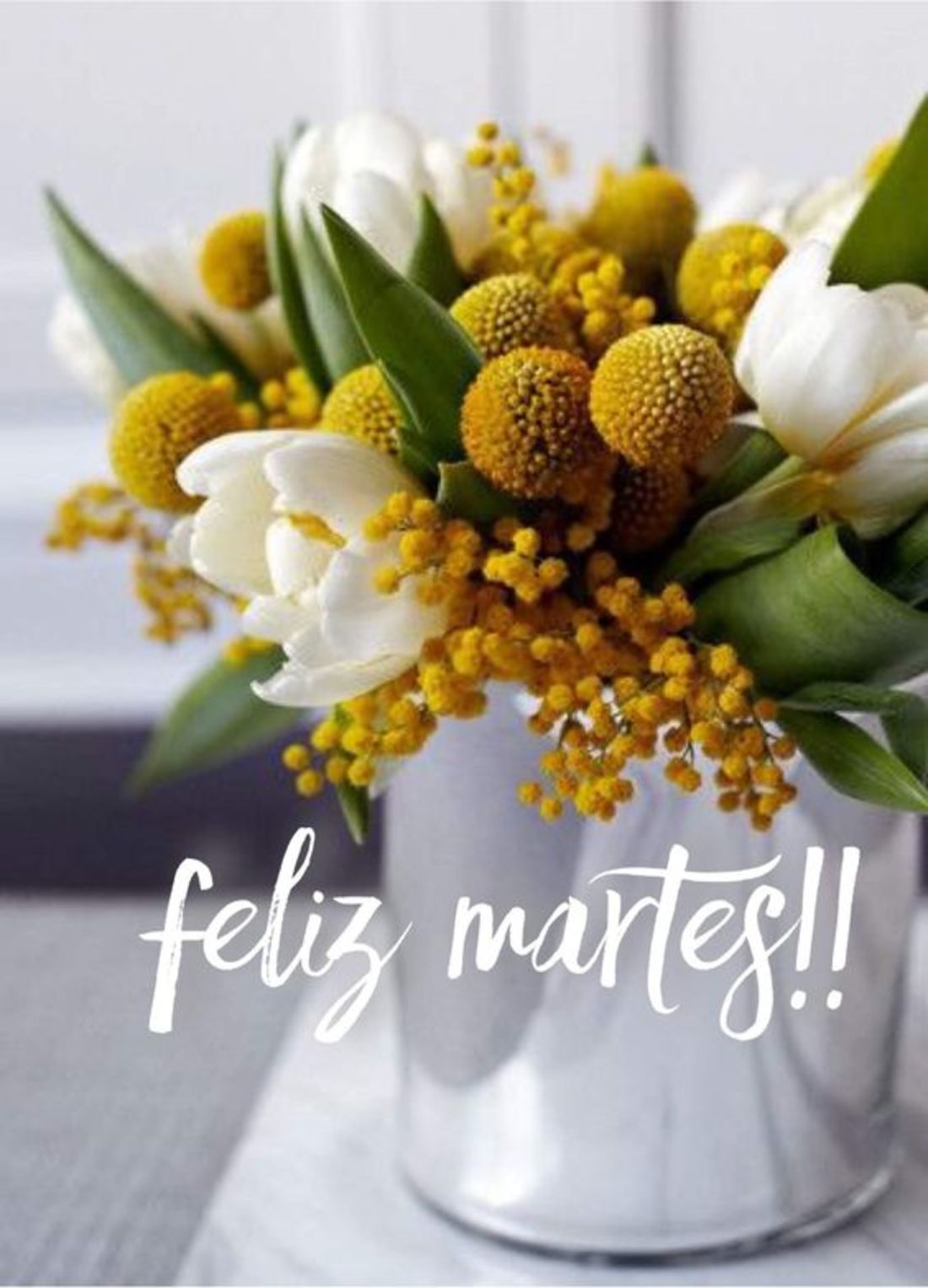 Feliz Martes