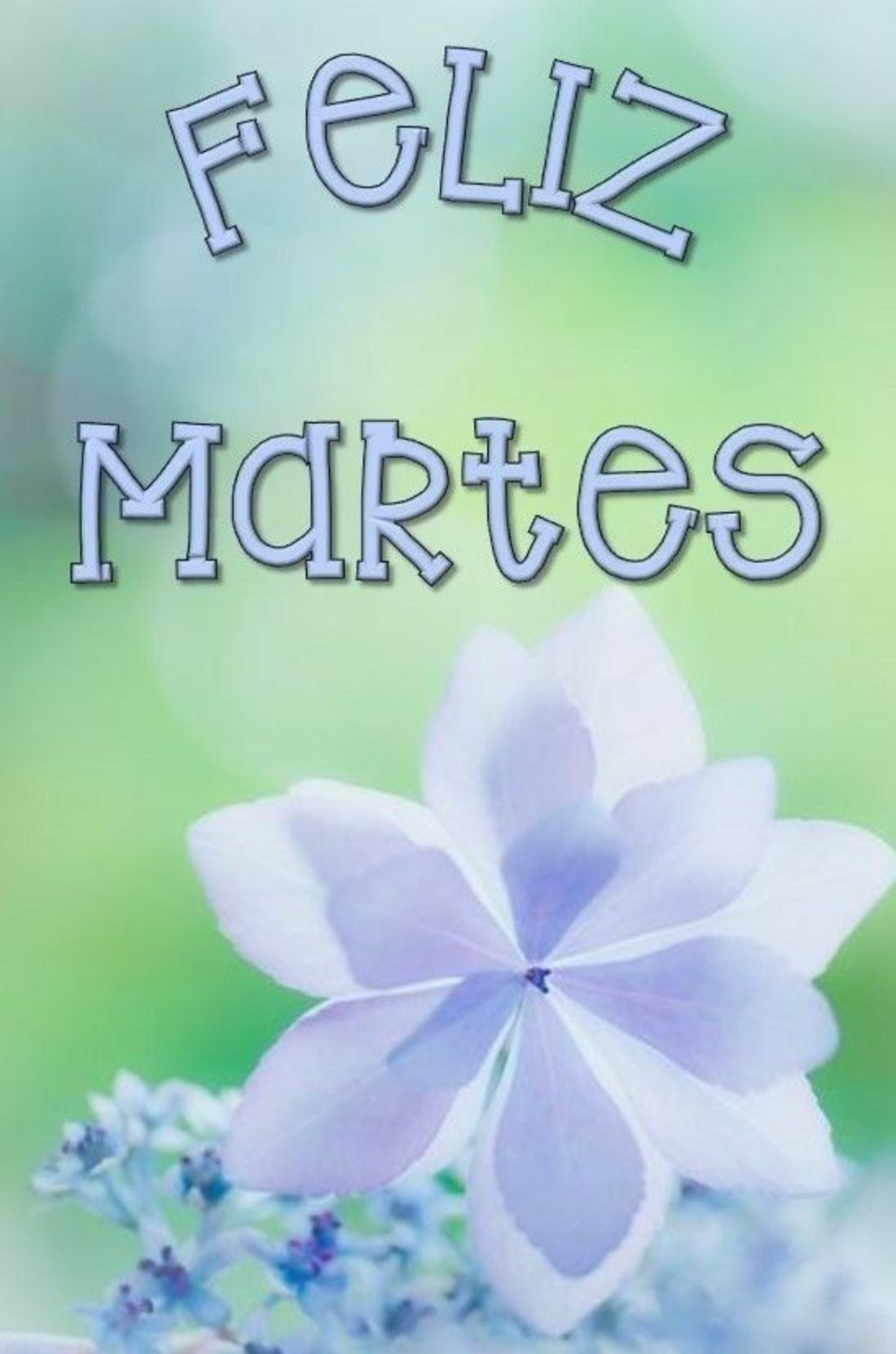 Feliz martes