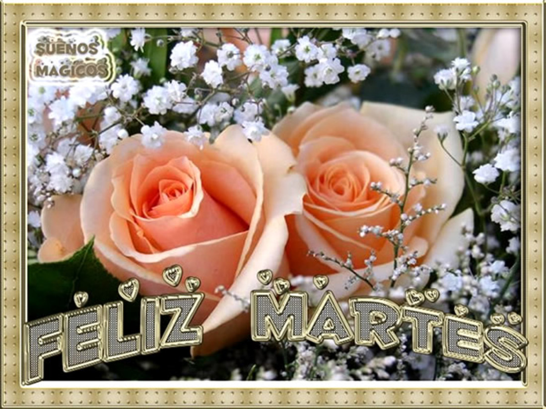 Feliz martes