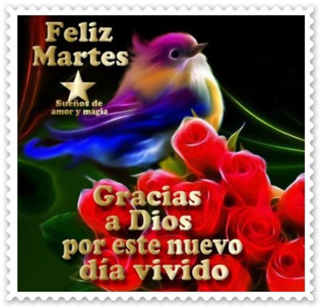 Feliz Martes gracias a Dios por este nuevo dia vivido