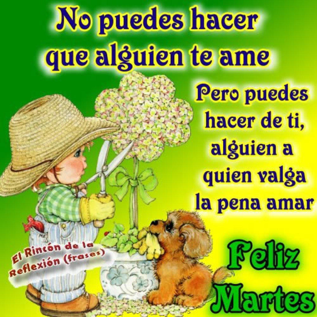 No puedes hacer que alguien te ame pero puedes hacer de ti, alguien a quien valga la pena amar. Feliz Martes