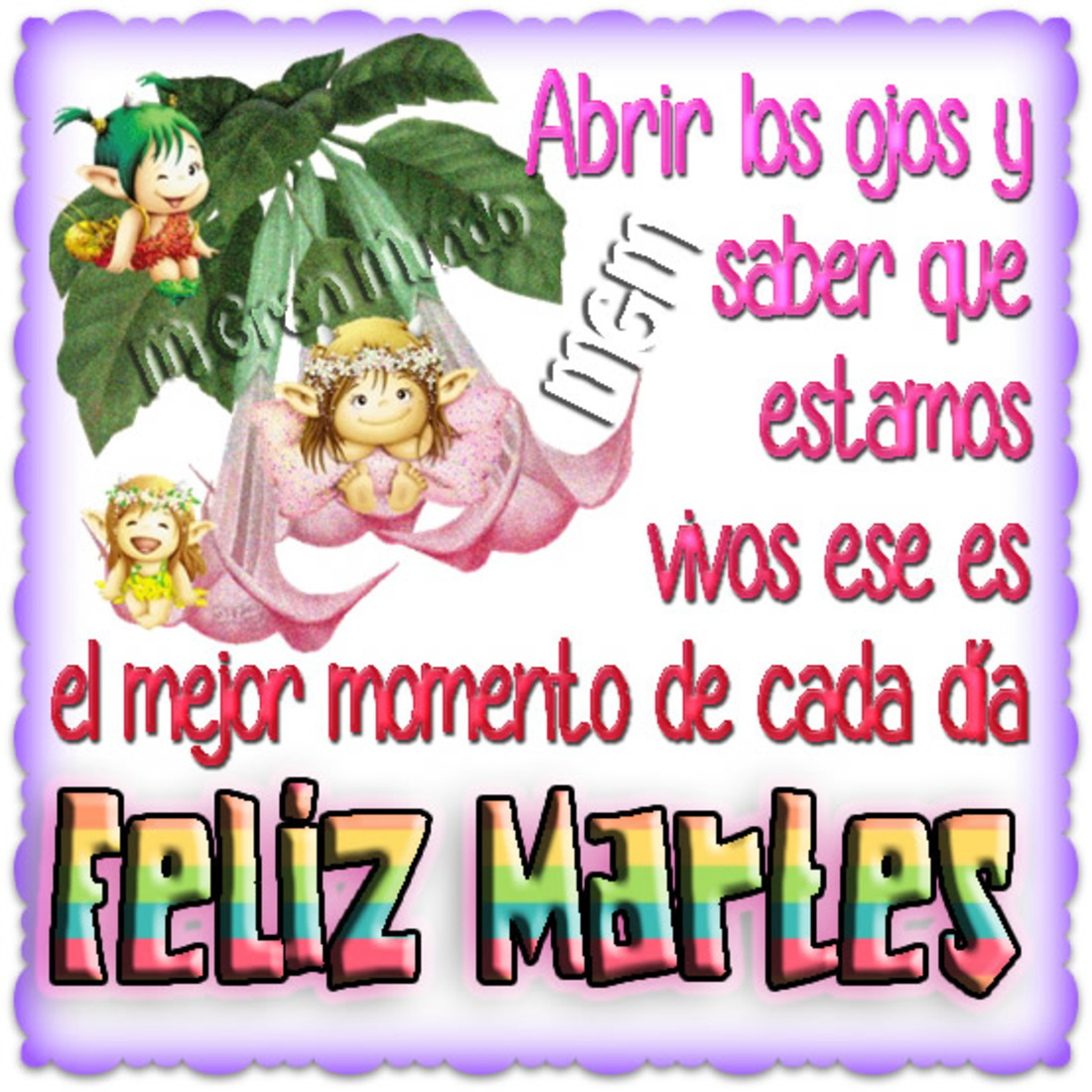 Abrir los ojos y saber que estamos vivos ese es el mejor momento de cada dia Feliz Martes