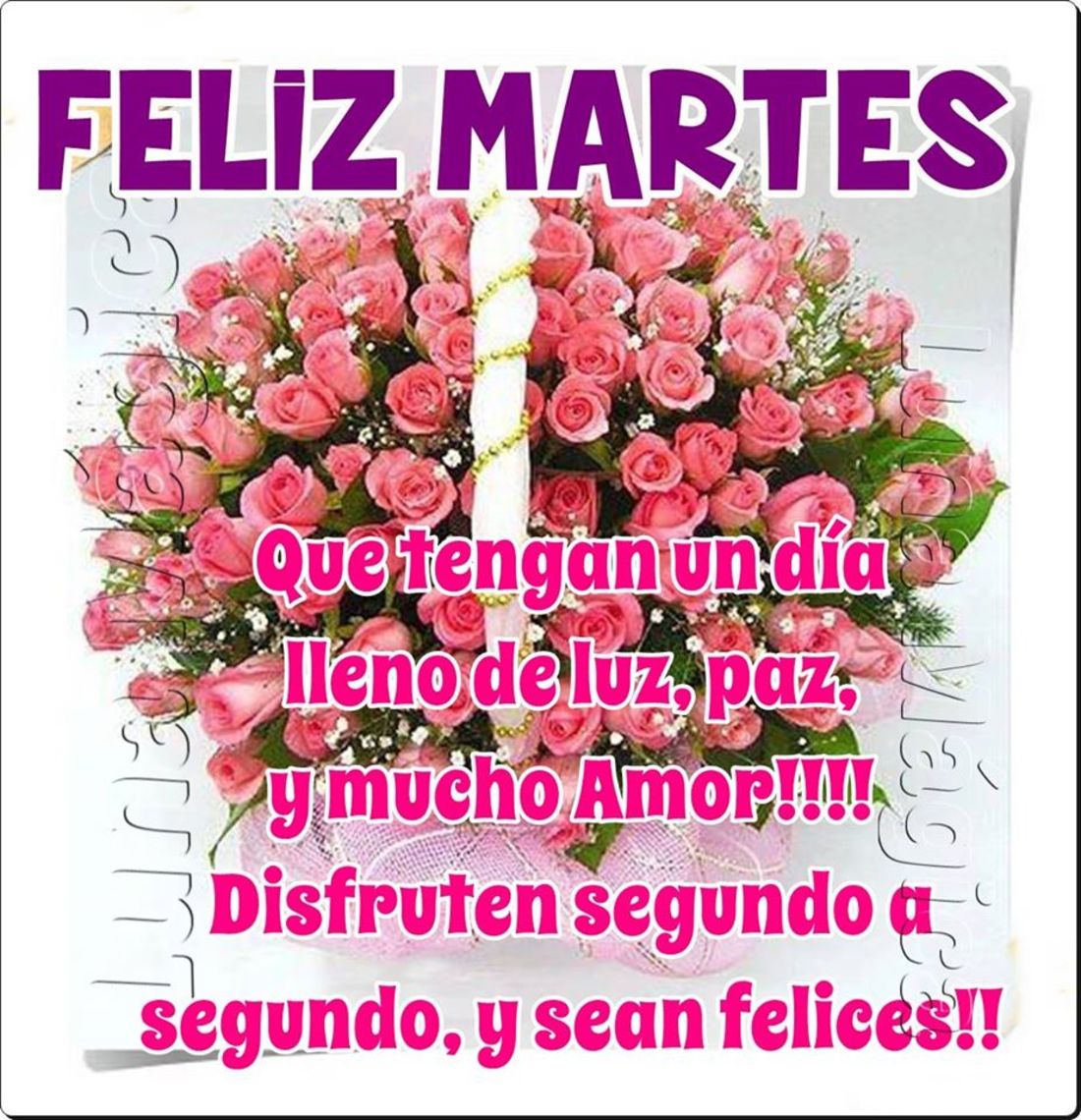 Feliz Martes que tengan día lleno de luz, paz, y mucho amor!!! Disfruten segundo a segundo, y sean felices!!