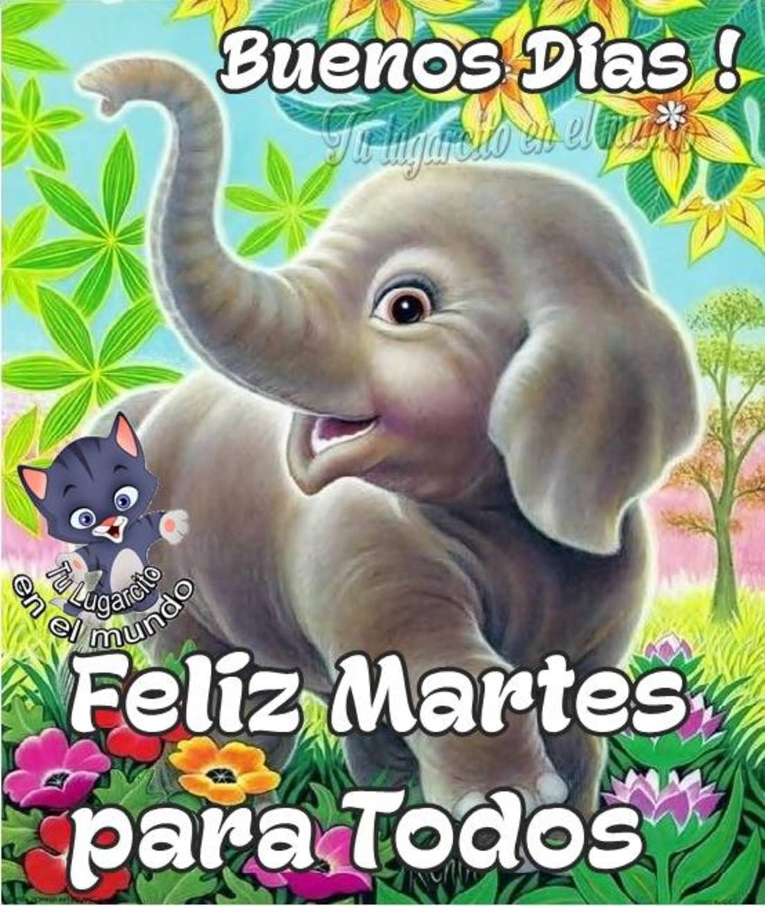 Buenos días feliz martes para todos