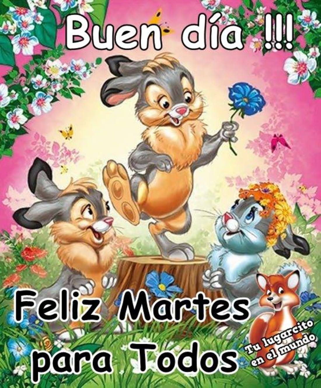 Buen día feliz martes para todos