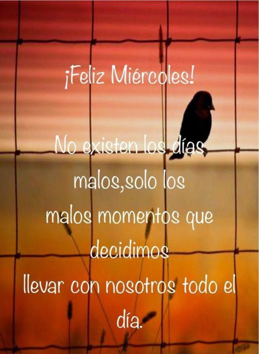 Feliz miércoles! no existen los dias malos, solo los malos momentos que decidimos llevar con nosotros todo el dia