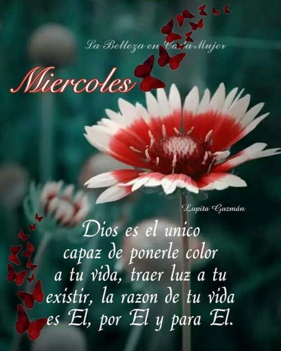 Miércoles Dios es el unico capaz de ponerle color a tu vida, traer luz a tu existir, la razon de tu vida es El, por El y para El