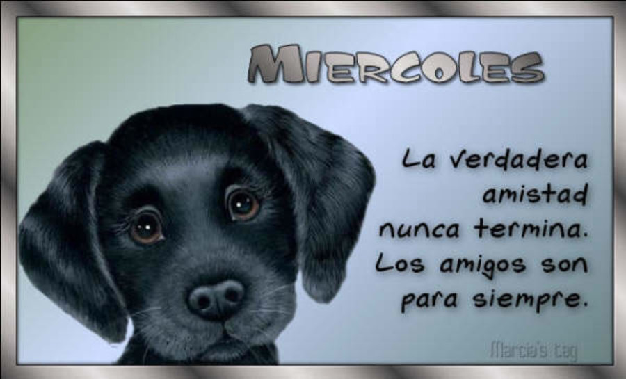 Miércoles la verdadera amistad nunca termina. Los amigos son para siempre. 