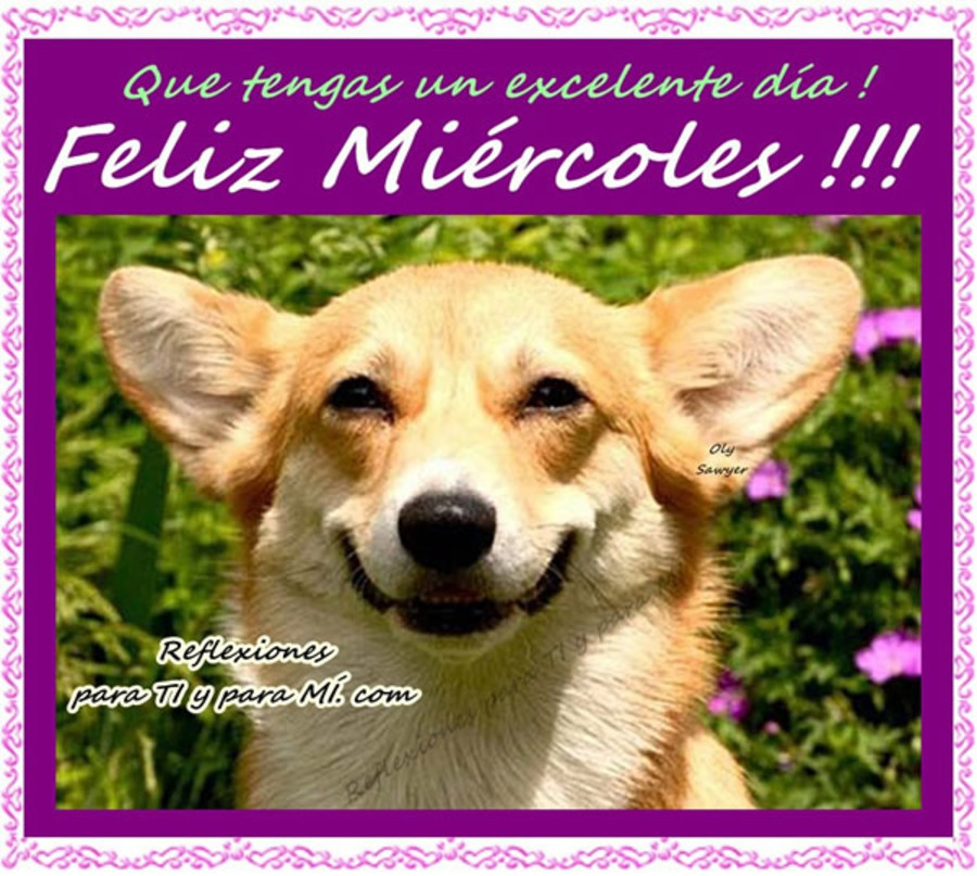 Que tengas un excelente dia!! Feliz miércoles