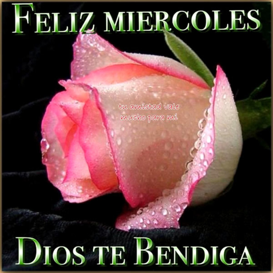 Feliz Miércoles Dios te bendiga