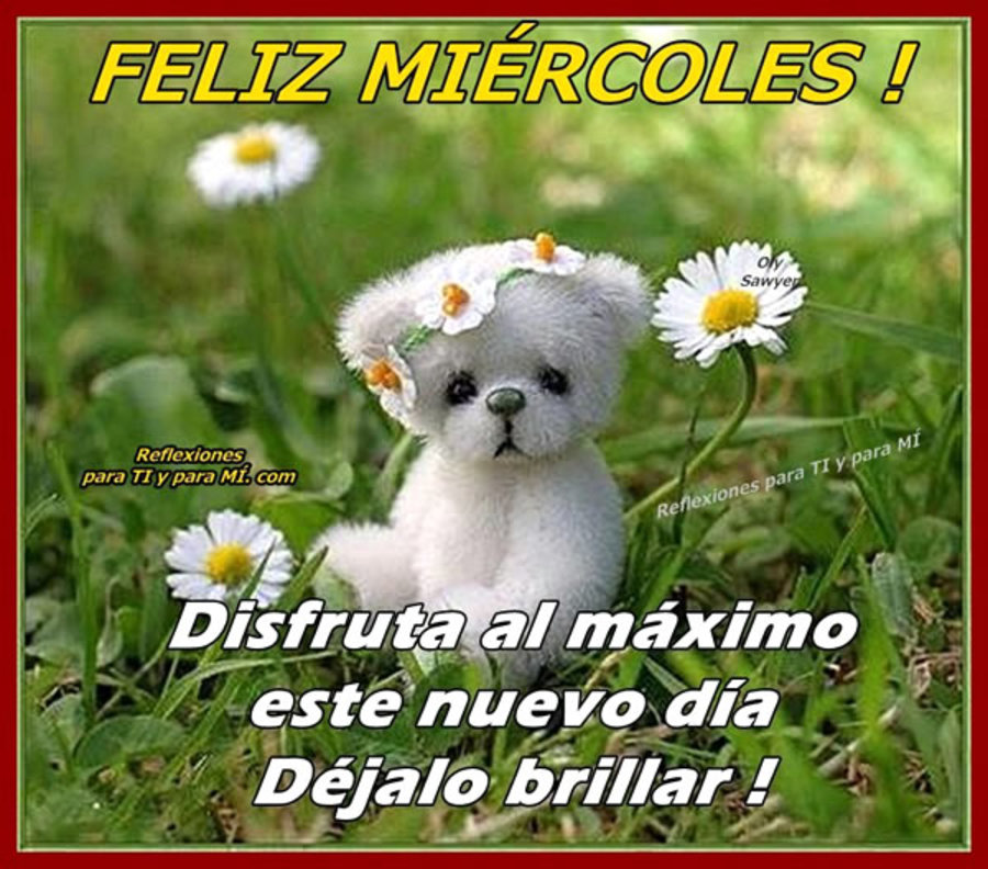 Feliz miércoles disfruta al maximo déjalo brillar!!ste nuevo dia 