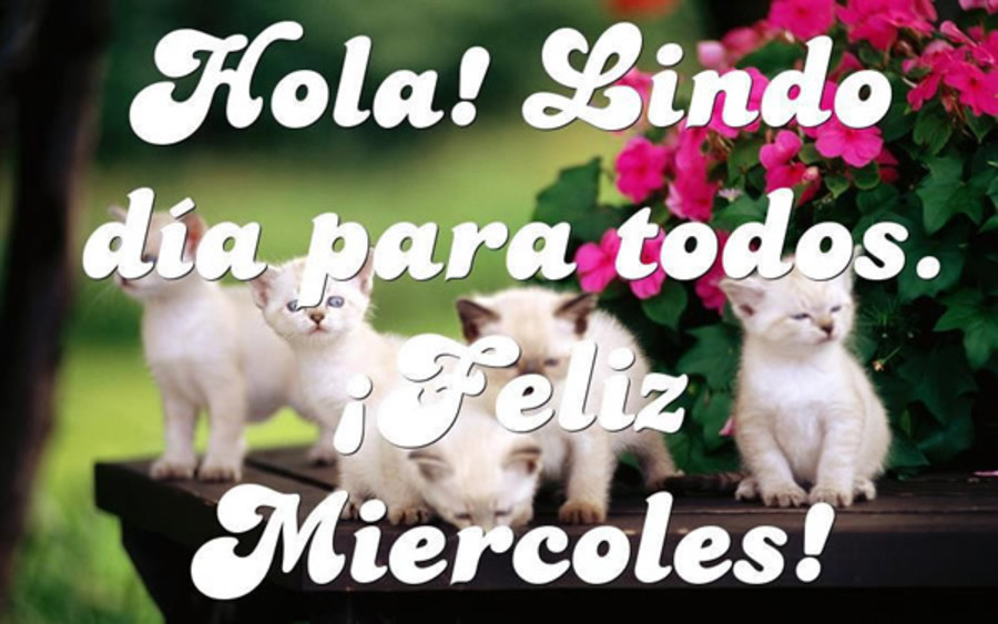 Hola! Lindo dia para todos. Feliz miércoles