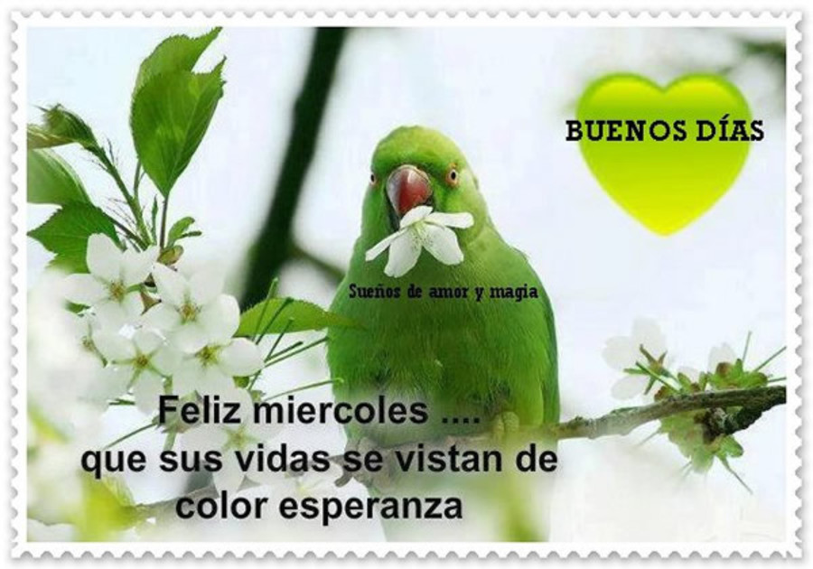 Feliz miércoles e sus vidas se vistan de color esperanza