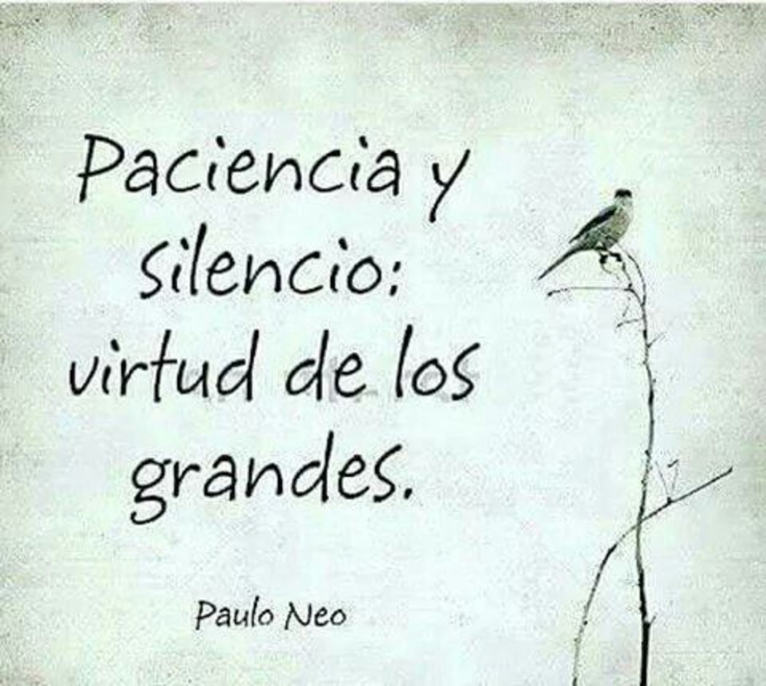 Paciencia y silencio: virtud de los grandes 