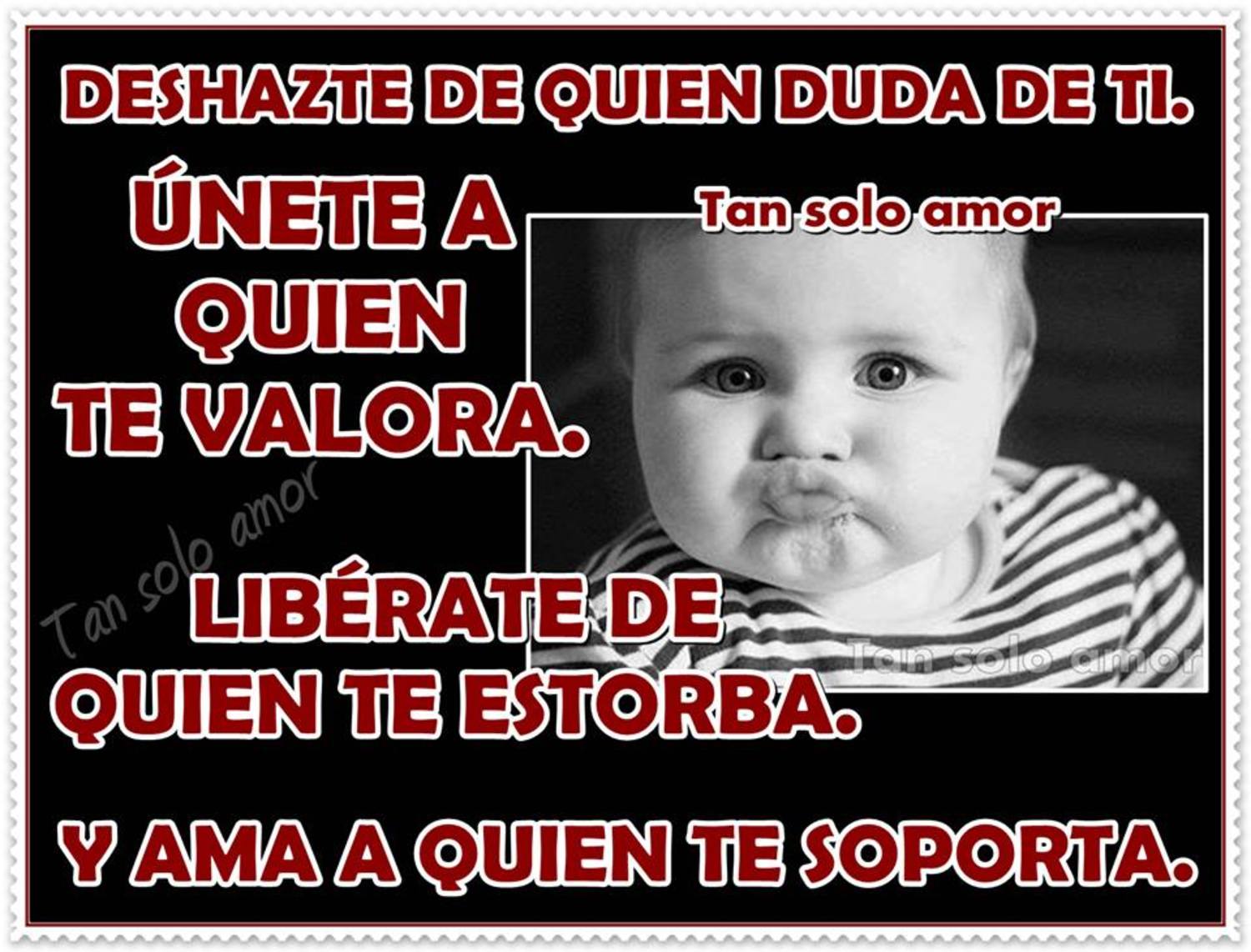 Deshazte de quien duda de ti. Unete a quien te valora. Libérate de quien te estorba. Y ama a quien te soporta.