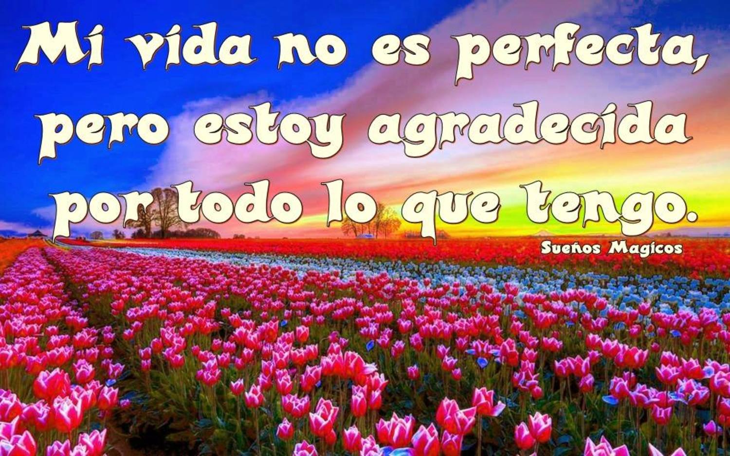 Mi vida no es perfecta, pero estoy agradecida por todo lo que tengo